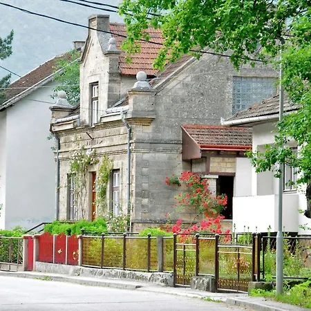Vesna Jajce